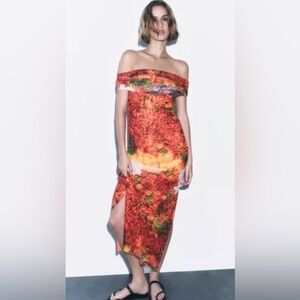 NWT Zara midi floral tulle Dress